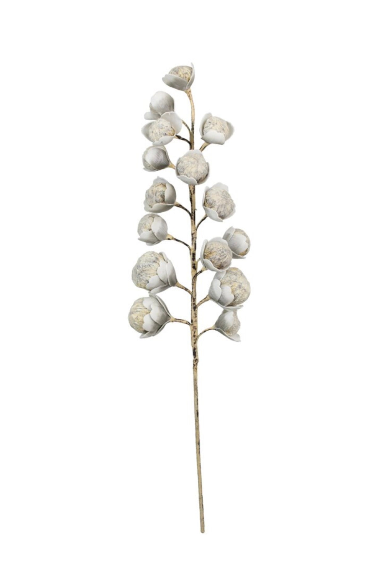Kalalou Botanica Stems