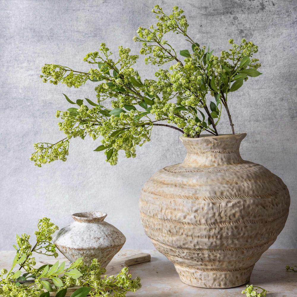 Botanicals
