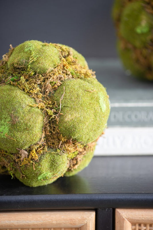 Textured Moss Ball