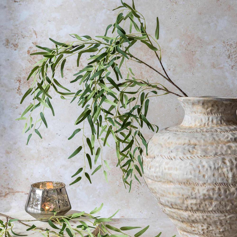 Willow Branch Stems