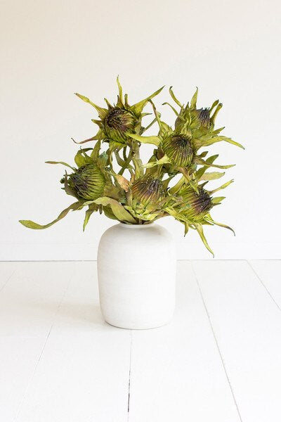 Kalalou Green Stems