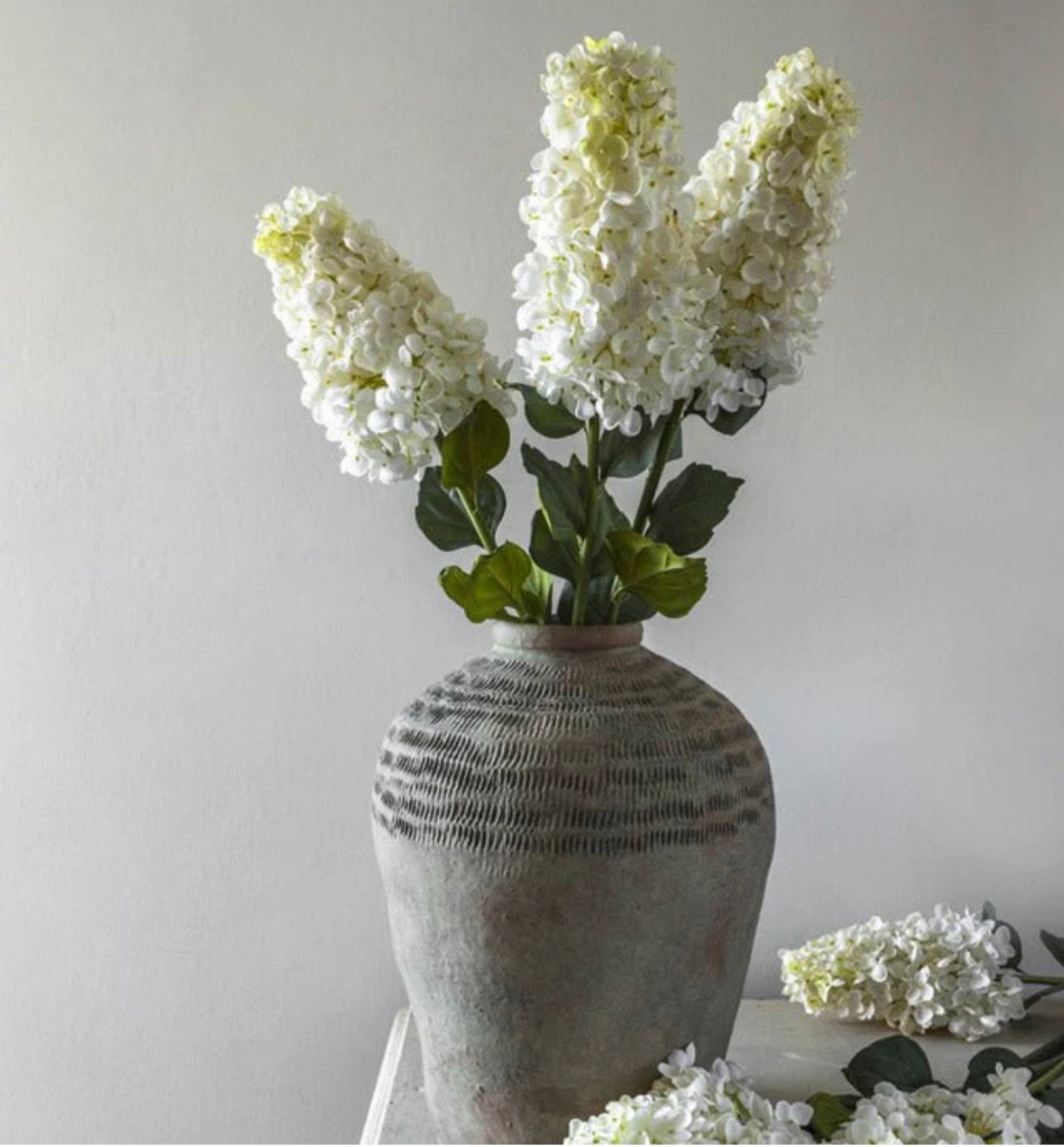 Hydrangea Paniculata Cream Stems