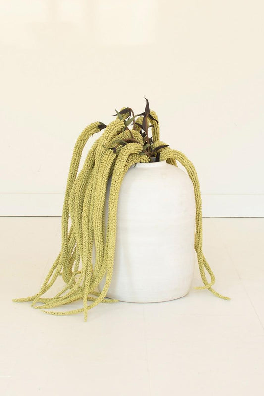 Hanging Amaranthus Stems